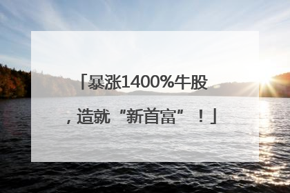 暴涨1400%牛股，造就“新首富”！