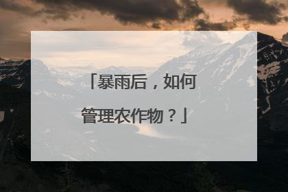 暴雨后，如何管理农作物？