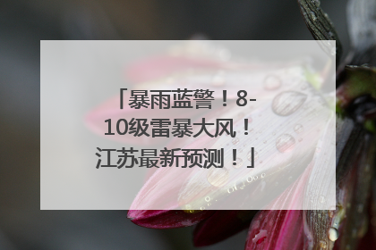 暴雨蓝警！8-10级雷暴大风！江苏最新预测！
