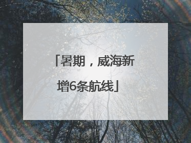 暑期，威海新增6条航线