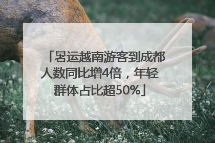 暑运越南游客到成都人数同比增4倍，年轻群体占比超50%