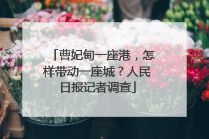 曹妃甸一座港，怎样带动一座城？人民日报记者调查