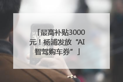 最高补贴3000元！杨浦发放“AI智驾购车券”