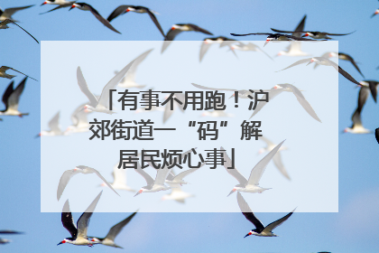 有事不用跑！沪郊街道一“码”解居民烦心事