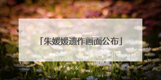 朱媛媛遗作画面公布