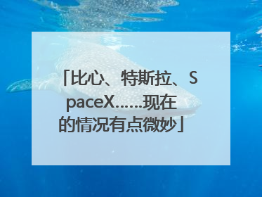 比心、特斯拉、SpaceX……现在的情况有点微妙