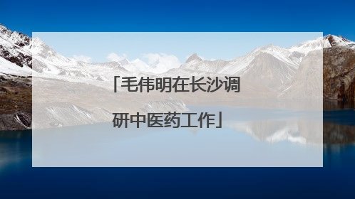 毛伟明在长沙调研中医药工作