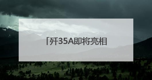 歼35A即将亮相巴黎航展，中航工业沈阳所首席专家王永庆接受《环球时报》专访：未来数量可以有很多