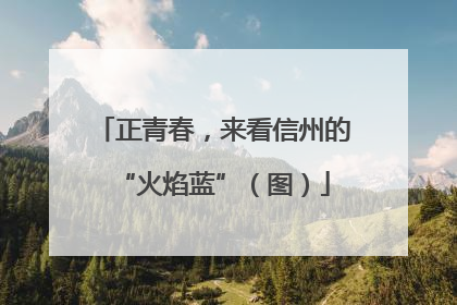 正青春，来看信州的“火焰蓝”（图）
