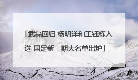 武磊回归 杨明洋和王钰栋入选 国足新一期大名单出炉