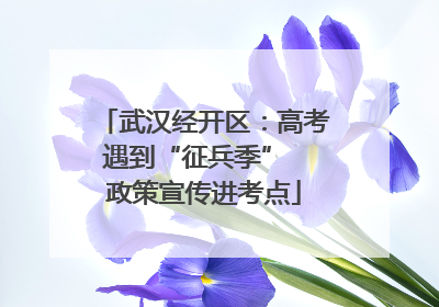 武汉经开区：高考遇到“征兵季”  政策宣传进考点