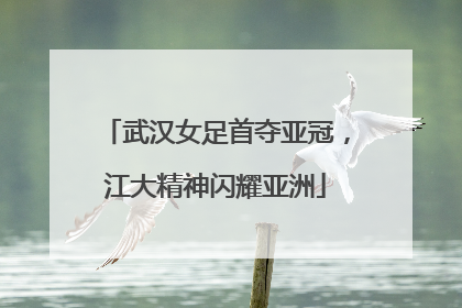 武汉女足首夺亚冠，江大精神闪耀亚洲