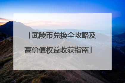 武陵币兑换全攻略及高价值权益收获指南