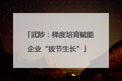 武陟：梯度培育赋能企业“拔节生长”