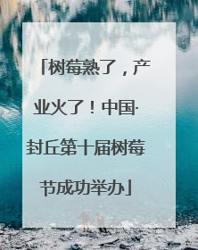 树莓熟了，产业火了！中国·封丘第十届树莓节成功举办