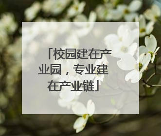 校园建在产业园，专业建在产业链