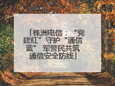 株洲电信：“党建红”守护“通信蓝” 军警民共筑通信安全防线