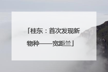 桂东：首次发现新物种——宽距兰