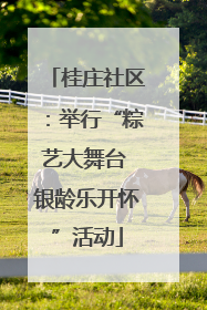 桂庄社区：举行“粽艺大舞台 银龄乐开怀”活动