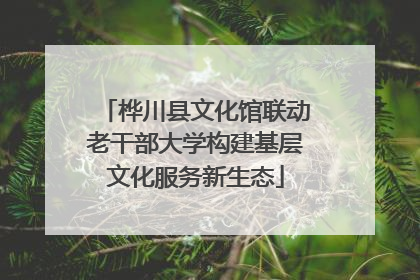 桦川县文化馆联动老干部大学构建基层文化服务新生态
