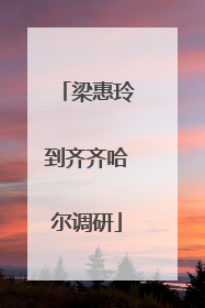梁惠玲到齐齐哈尔调研