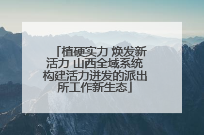 植硬实力 焕发新活力 山西全域系统构建活力迸发的派出所工作新生态