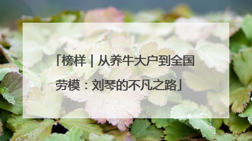 榜样｜从养牛大户到全国劳模：刘琴的不凡之路