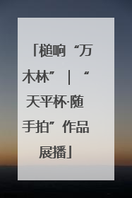 槌响“万木林”｜“天平杯·随手拍”作品展播