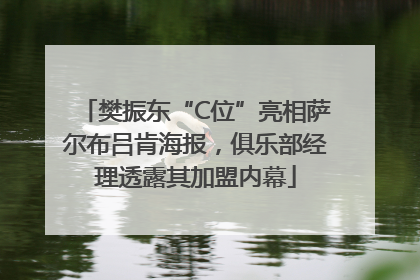 樊振东“C位”亮相萨尔布吕肯海报，俱乐部经理透露其加盟内幕