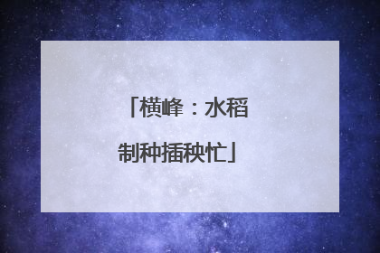 横峰：水稻制种插秧忙