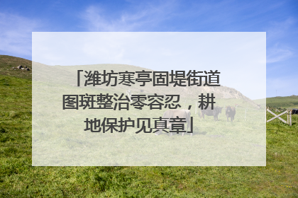 潍坊寒亭固堤街道图斑整治零容忍，耕地保护见真章
