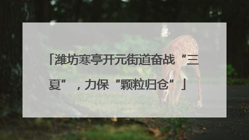 潍坊寒亭开元街道奋战“三夏”，力保“颗粒归仓”