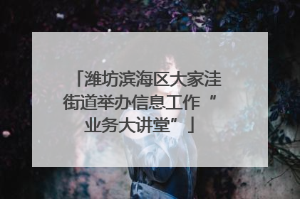 潍坊滨海区大家洼街道举办信息工作“业务大讲堂”