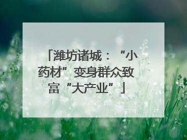 潍坊诸城：“小药材”变身群众致富“大产业”