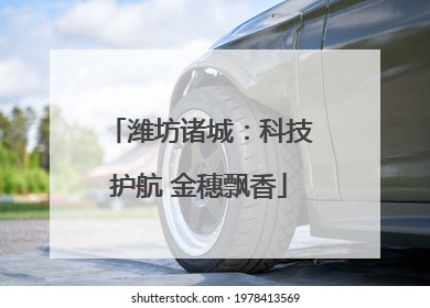 潍坊诸城：科技护航 金穗飘香