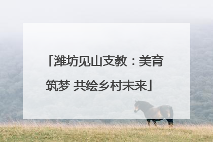 潍坊见山支教：美育筑梦 共绘乡村未来