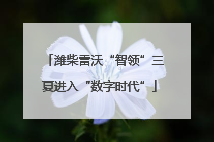 潍柴雷沃“智领”三夏进入“数字时代”