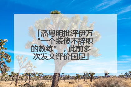 潘粤明批评伊万“一个装傻不辞职的教练”，此前多次发文评价国足