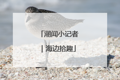 潮闻小记者｜海边拾趣
