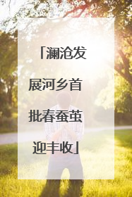 澜沧发展河乡首批春蚕茧迎丰收