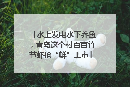水上发电水下养鱼，青岛这个村百亩竹节虾抢“鲜”上市
