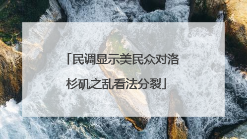 民调显示美民众对洛杉矶之乱看法分裂