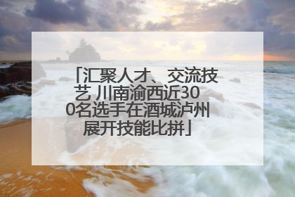 汇聚人才、交流技艺 川南渝西近300名选手在酒城泸州展开技能比拼