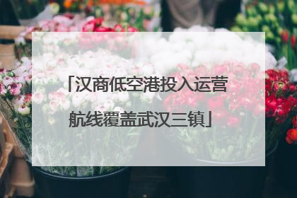 汉商低空港投入运营 航线覆盖武汉三镇