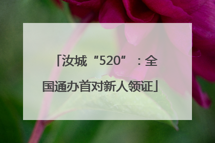 汝城“520”：全国通办首对新人领证
