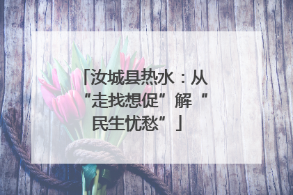 汝城县热水：从“走找想促”解“民生忧愁”