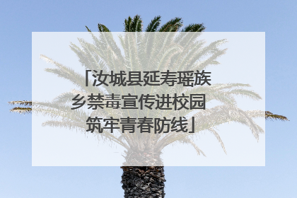 汝城县延寿瑶族乡禁毒宣传进校园 筑牢青春防线