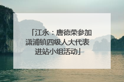 江永：唐德荣参加潇浦镇四级人大代表进站小组活动