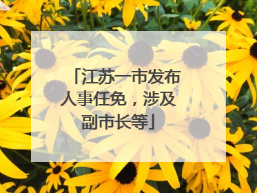 江苏一市发布人事任免，涉及副市长等