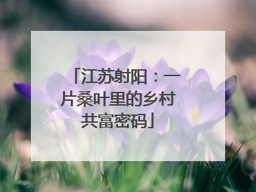 江苏射阳：一片桑叶里的乡村共富密码